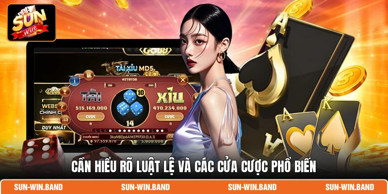 Tài Xỉu Livestream - Sòng Bài Thực Tế Số 1 Tại SUNWIN 3 Cần hiểu rõ luật lệ và các cửa cược phổ biến